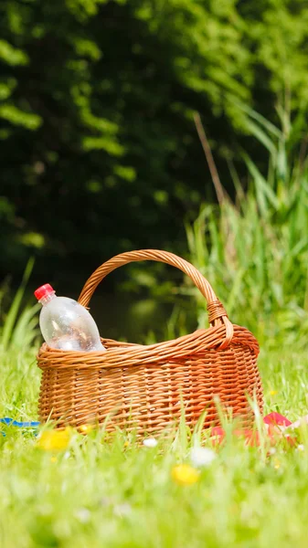 Yeşil çim çayır üzerinde piknik sepeti — Stok fotoğraf