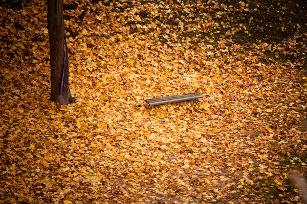 Autumn fall scenery. Bench and leaves in city park. — Stock Photo, Image