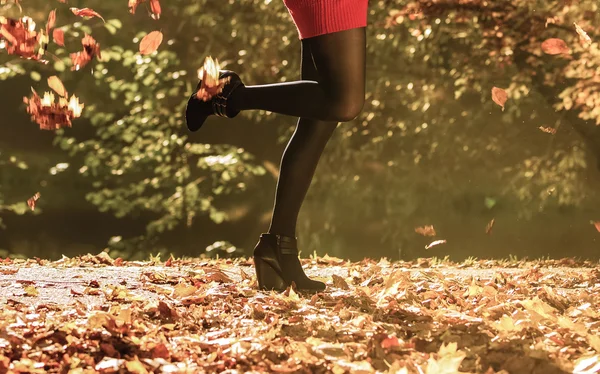 秋季时装。女性的腿，在室外的黑色连裤袜 — 图库照片