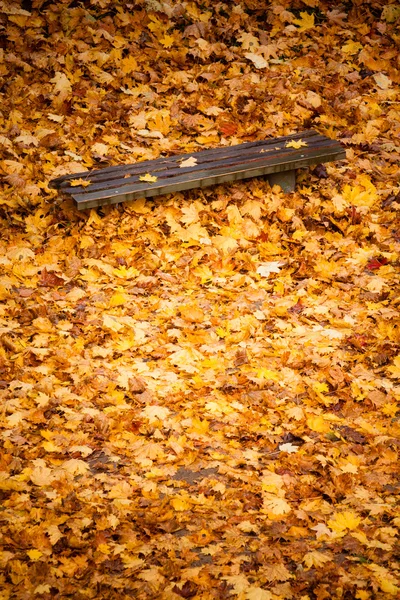 Autumn fall scenery. Bench and leaves in city park. — Stock Photo, Image