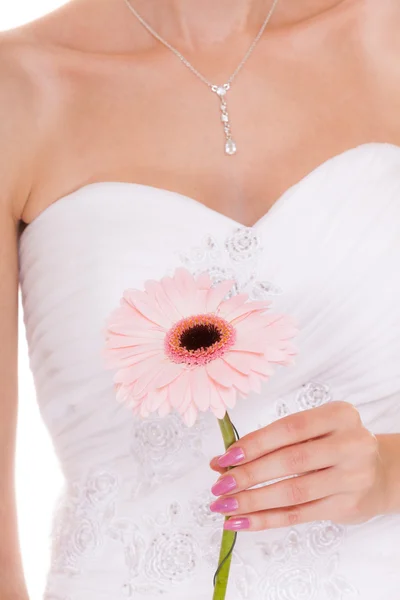 Невеста держит цветок — стоковое фото