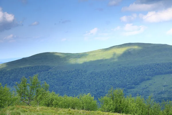 Naturaleza. Paisaje verde de montaña en verano —  Fotos de Stock