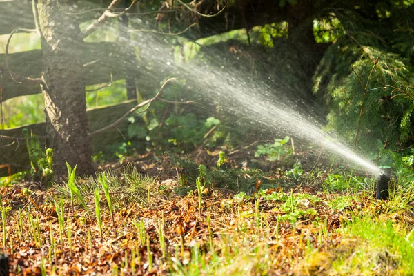 Trädgårdsarbete. Gräsmatta sprinkler sprutning vatten över gräs. — Stockfoto