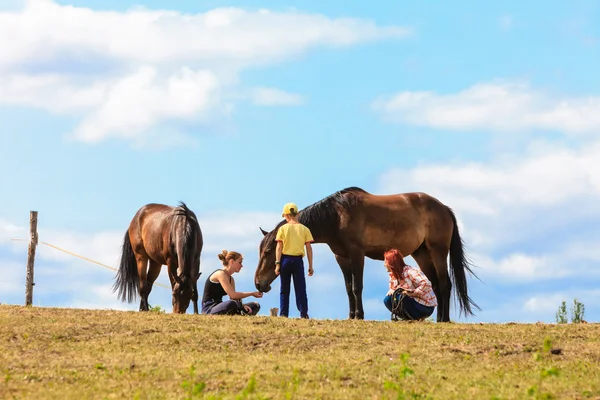 Gente cuidando de los caballos . —  Fotos de Stock