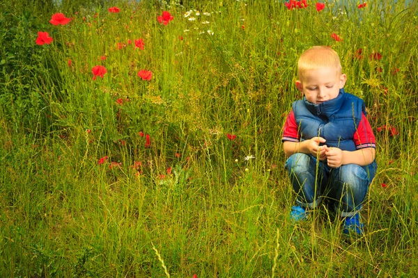 子供にプレイ検査野の花の草原 — ストック写真