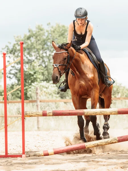 Woman jockey training riding horse. Sport activity