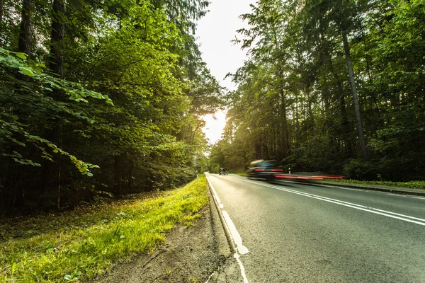 Asfalt yol yeşil orman yoluyla — Stok fotoğraf