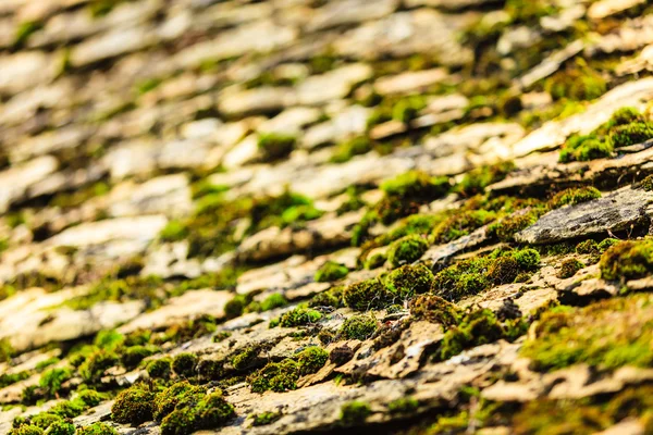 Andar de pedra grunge velho com fundo padrão de musgo — Fotografia de Stock
