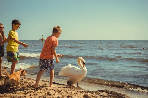 小女孩男孩孩子们在海滩上的有天鹅的乐趣. — 图库照片
