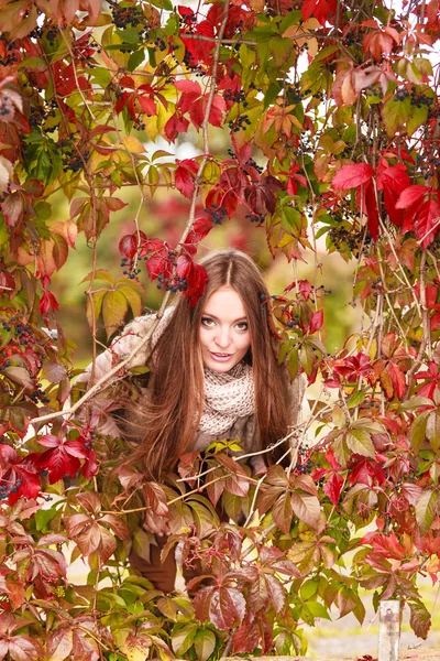Vrouw mode meisje ontspannen wandelen in herfst park — Stockfoto