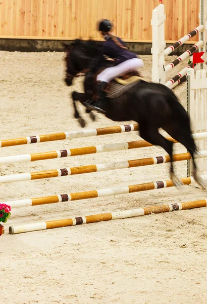 Paard en ruiter springen — Stockfoto