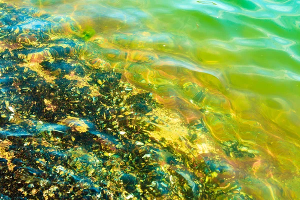 Absztrakt háttér. Kagyló víz — Stock Fotó