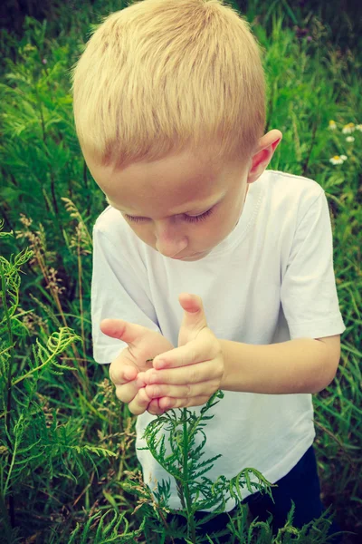 Kid picking flower — Stock Photo, Image