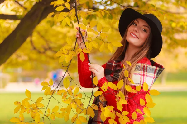 Piękna kobieta w jesiennym parku — Zdjęcie stockowe