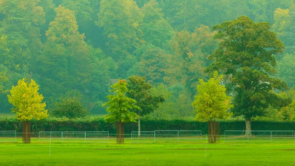 Feldgraslandschaft. Herbstliche Natur. — Stockfoto