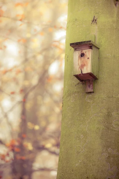 Birdhouse on the tree in forest — Stock Photo, Image