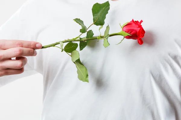 Άνθρωπος με ένα κόκκινο τριαντάφυλλο — Φωτογραφία Αρχείου