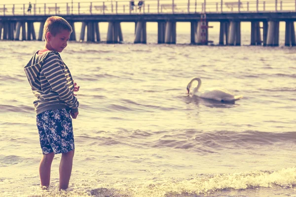 Kleines Mädchen am Strand auf See mit Schwan. Spaß. — Stockfoto