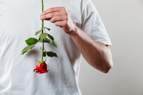 Mann mit einer einzigen roten Rose — Stockfoto