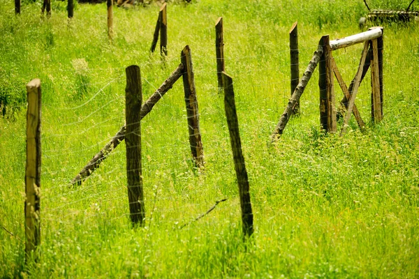 Houten, roestige hek op een groen, platteland gras — Stockfoto