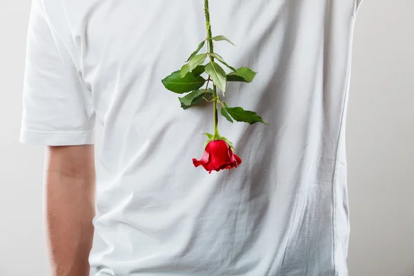単一の赤いバラを持つ男 — ストック写真