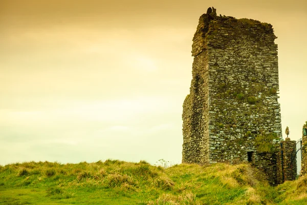 Panorama irlandese. Rovine del castello, Contea di Cork, Irlanda Europa — Foto Stock