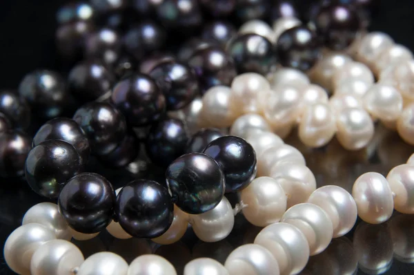 Perle isoliert auf Weiß — Stockfoto