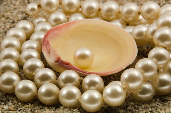 Shell with a pearl — Stock Photo, Image