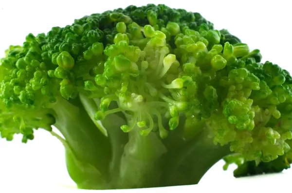 Broccoli pe fundal alb — Fotografie, imagine de stoc