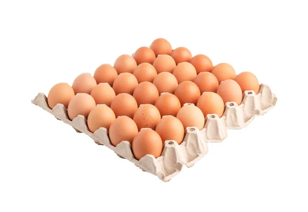 Курячі Яйця Картонному Папері Ізольовані Білому Тлі Відсічними Контурами — стокове фото