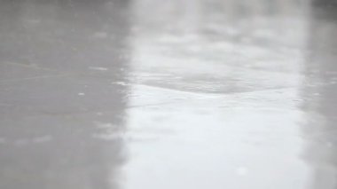 Gün içinde yere yağmur damlaları düşer.