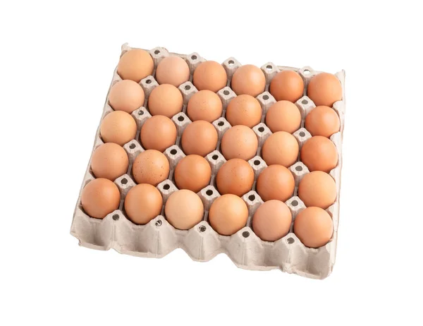 Huevos Pollo Cartón Aislados Fondo Blanco Con Caminos Recorte — Foto de Stock