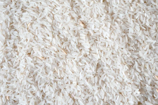 Close Full Frame Rice Paddy — Stock Photo, Image