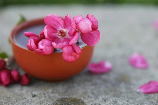 Hibiscus thee in keramische cup isoleren op stenen oppervlak — Stockfoto