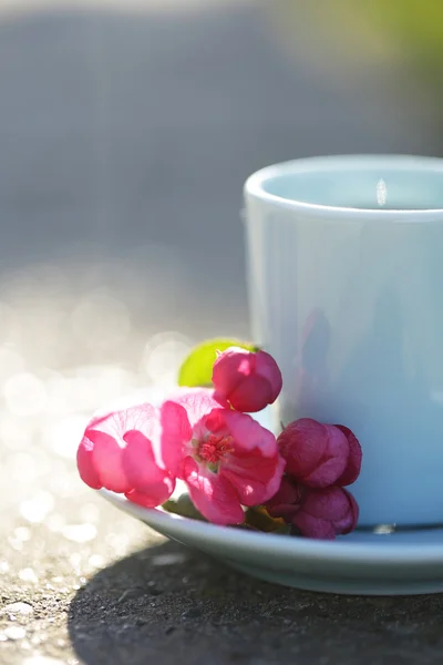 Cup of coffee with pink flowers isolated on nature background — Stock Photo, Image