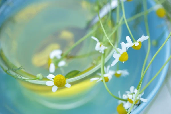 Vista dall'alto Camomilla tè con fiori di camomilla — Foto Stock