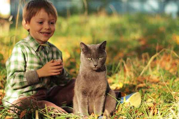 灰猫和小男孩坐在草地上。和猫一起玩的孩子. 图库图片