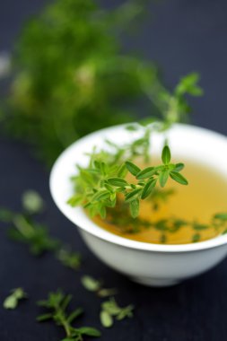 Siyah arka plan üzerine izole kekik bitki