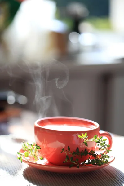 Steaming Hot tea cup with thyme isolated on window background