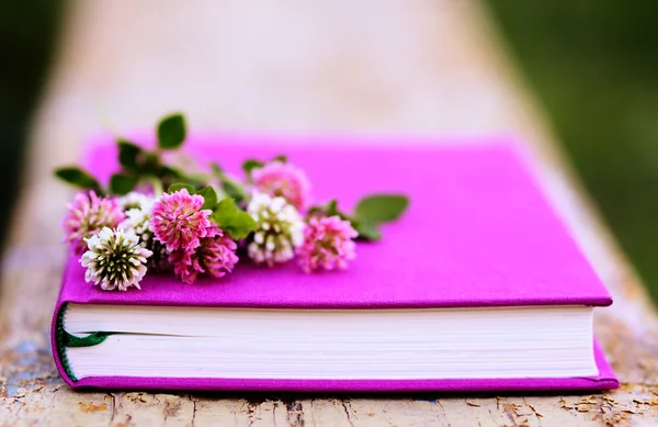 Trébol rosa y blanco en el libro fucsia — Foto de Stock