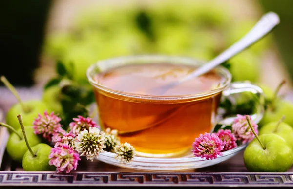 Herbal Tea with clover and green apples — Stock Photo, Image