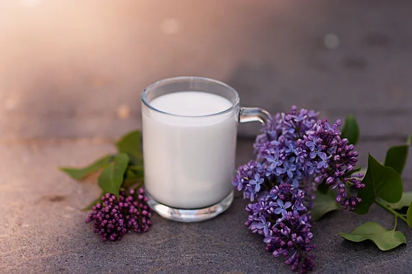 Melkglas met lila bloem — Stockfoto