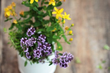 Harç - alternatif tıp taze otlar. Kekik ve tutsan.