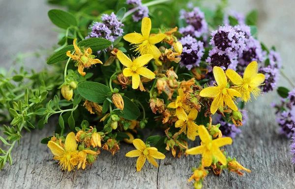 Erboristeria. Tutsan, timo, timo al limone da vicino sulla superficie di legno — Foto Stock