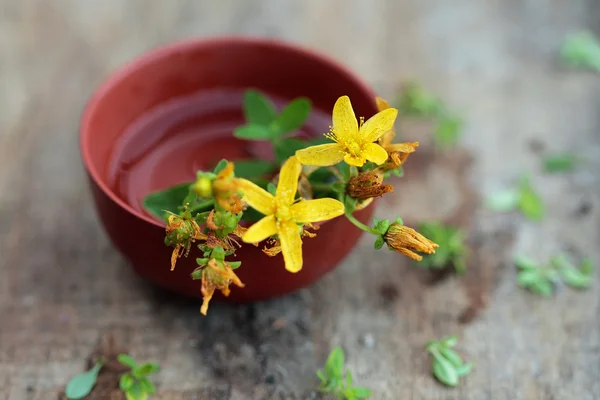 Tisane à base de plantes avec tutsan fleuri sur table en bois Images De Stock Libres De Droits