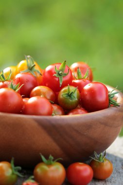 Ahşap bir tabak içinde kiraz domates. Sonbahar arka plan.