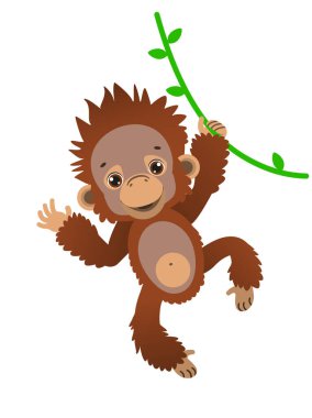 A cute baby orangutan sways on a liana. Fauna of the rain forests of Asia. Vector illustration. Cartoon style. clipart