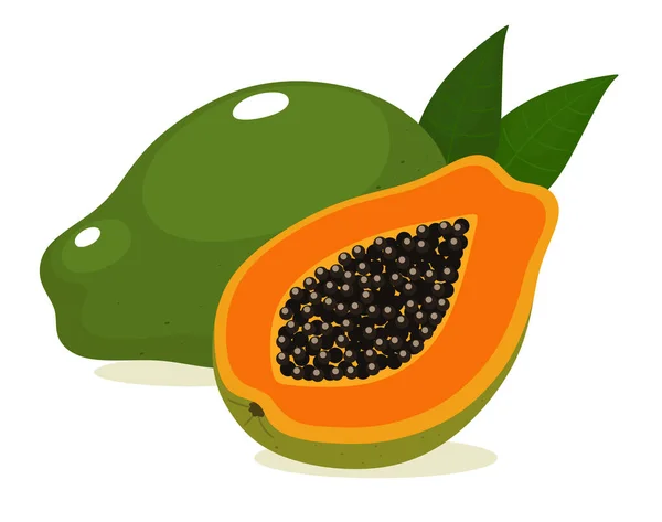 Cutaway Papaya Frukt Vektor Illustration Cutaway Papaya Frukt Vektorillustration — Stock vektor