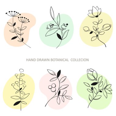 Sanatsal yaprak koleksiyonu doğal otları çizgi şeklinde bırakır. El çizimi çiçek tasarımı için dekoratif güzellik çizimi. Vektör botanik elementler.