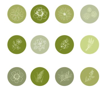 Sosyal medya için çiçekler, gönderiler ve hikayeler içeren yuvarlak vurgular kümesi. 